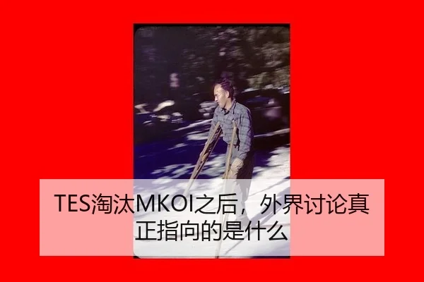 TES淘汰MKOI之后，外界讨论真正指向的是什么